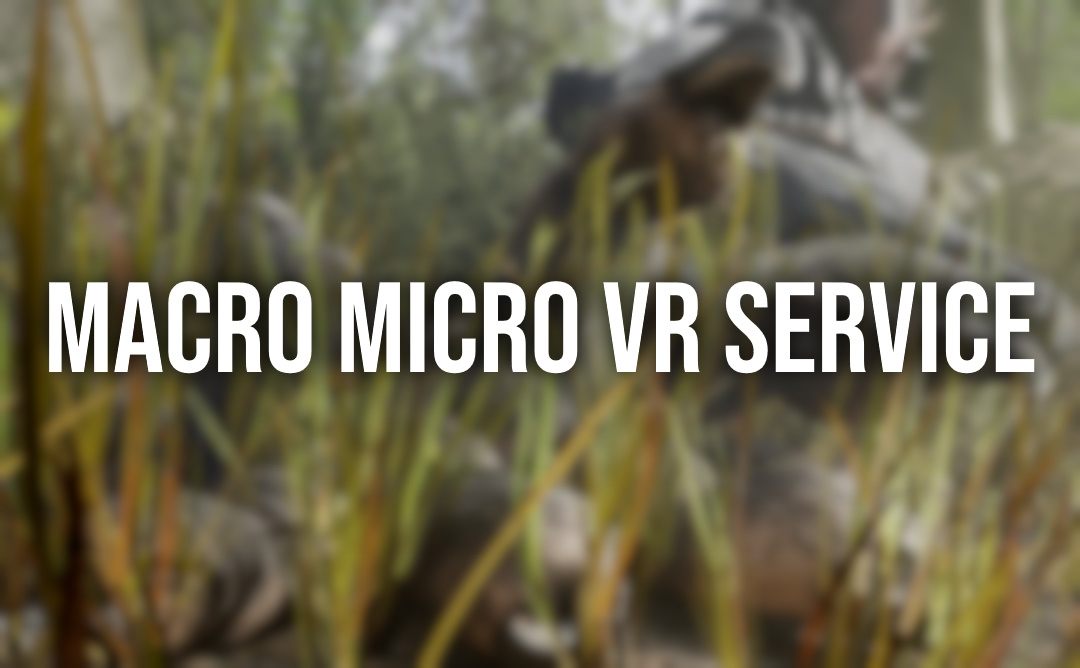 Page icon of Macro Micro VR Service