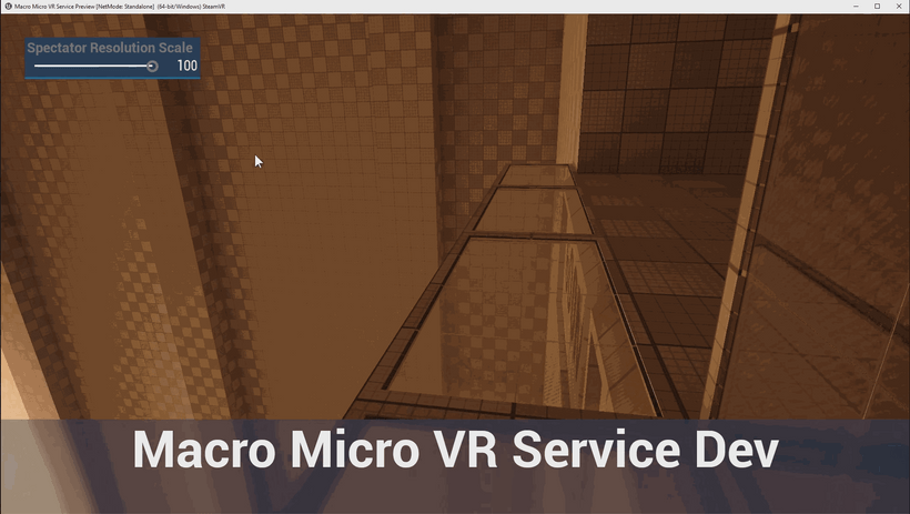 VR Spectator Screen Res