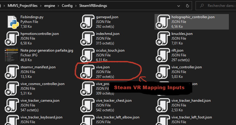 Steam VR Mapping Inputs