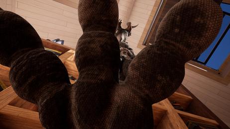 DirtySole DirtySole